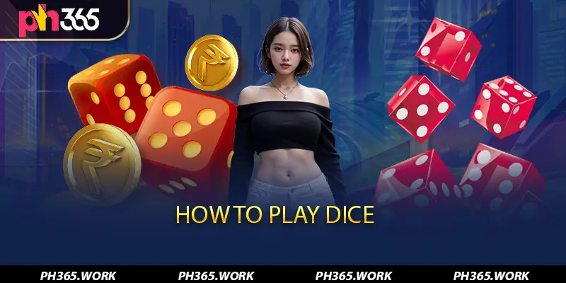 How to Play Dice