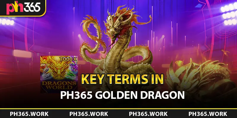 Key Terms in PH365 Golden Dragon