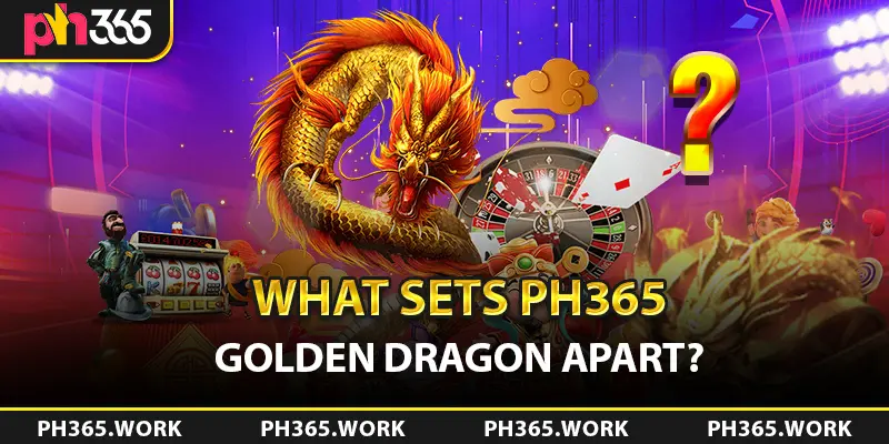 What Sets PH365 Golden Dragon Apart?